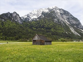 Hay barn in a meadow, Grimming, Ennstal, near Irdning, Styria, Austria, Europe