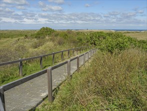 Narrow path with wooden railings leading through grassy dunes, under a blue sky with clouds, dune