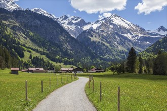 Path in Stillachtal, behind mountains of the Allgaeu Alps, Birgsau, near Oberstdorf, Oberallgaeu,