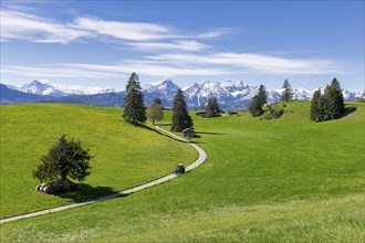 Landscape with trees near Fuessen, tractor, Allgaeu Alps, snow, mountains, Allgaeu, Bavaria,