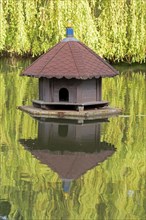 Mirror image, water, pond, pigeon house, Boizenburg, Mecklenburg-Vorpommern, Germany, Europe