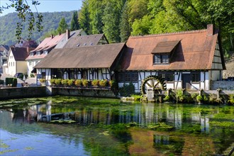 Hammerschmiede, mill, Blautopfhaus, at the Blautopf, Blaubeuren, Swabian Alb, Baden-Wuerttemberg,