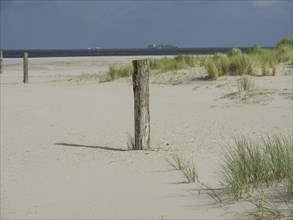 Sandy beach with wooden posts and grassy dunes under a partly cloudy sky, lonely beach with dune