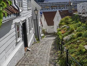 Curved cobbled street between white wooden houses and lush gardens, white wooden houses with green
