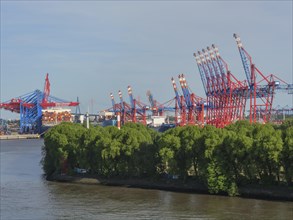 Cranes and containers in a harbour, lined with trees and water under a clear sky, cranes and ships