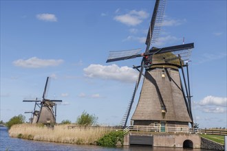 Two windmills on a river with reeds in the foreground under a blue sky, many historic windmills on