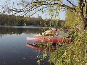 A red rowing boat lies next to a jetty, surrounded by trees and calm water, rowing boats and pedal