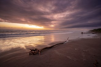 Dramatic cloudy sky at sunset, tree trunk on the beach, sandy beach on the Caribbean coast,