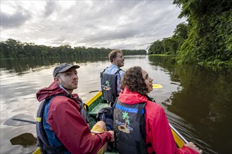 Tourists in a rowing boat on the Tortuguero River, watching animals in the rainforest, Tortuguero