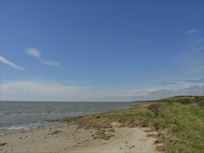Sandy coastline meets the calm sea under a blue sky, dunes and hiking trails on the Wadden Sea,