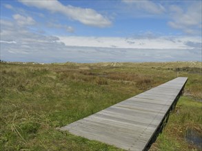 A wooden walkway leads through a grassy dune landscape under a cloudy blue sky, wooden path through