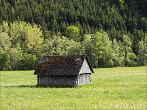 Hay barn in a meadow at the edge of a forest, near Irdning, Ennstal, Styria, Austria, Europe