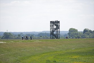 Cyclist, Elbe cycle path, Mahnkenwerder observation tower near Boizenburg, Mecklenburg-Western