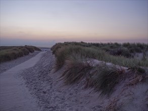 A sandy path leads through dunes to the sea under a twilight sky, setting sun on a beach with beach