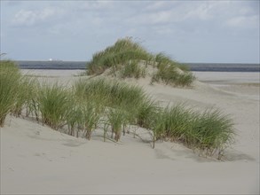 Dunes overgrown with grass on the beach, in the background the sea under a cloudy sky, sand dune