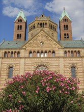 Historic church with towers under blue sky, in front a blooming rose bush, blooming bush in front