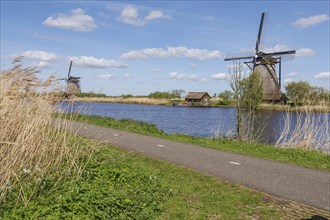 Several windmills next to a body of water and a path, surrounded by reeds under a cloudy sky, many