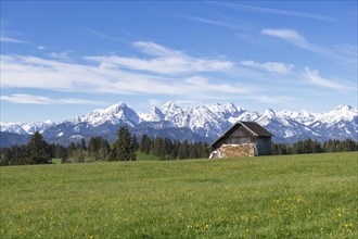 Wooden hut in a meadow near Fuessen, woodpile, Allgaeu Alps, snow, near Buching, Allgaeu, Bavaria,