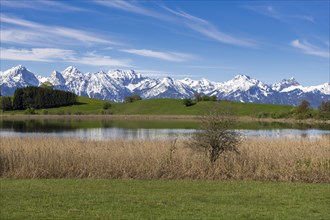 Schapfensee near Fuessen, Allgaeu Alps, snow, forest, Buching, Ostallgaeu, Allgaeu, Bavaria,