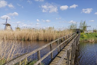 A narrow wooden footbridge leads over a river through high reeds, under a clear blue sky with