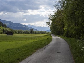 Field path along a meadow, near Woerschach, Ennstal, Styria
