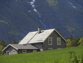 House with red and grey roof, big tree in green field, mountains in the background, quiet rural