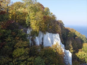 An autumnal landscape with cliffs, colourful foliage and a blue sea in the background, autumn