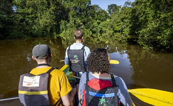 Tourists in a rowing boat on the Tortuguero River, watching animals in the rainforest, Tortuguero