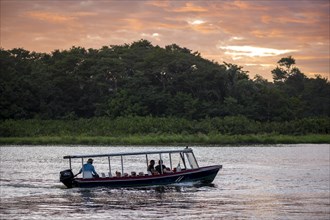 Motorboat with tourists in the Tortuguero River at sunset, tropical rainforest, Tortuguero National
