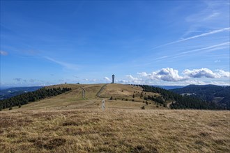 An idyllic landscape with a tower on a hill under a cloudy blue sky, Feldberg, Germany, Europe