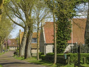 A quiet village street with houses and tiled roofs, surrounded by tall trees in spring, historic