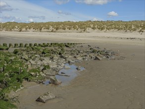 Rocks on the beach with seaweed, sand dunes in the background and cloudy sky, beach and dunes with