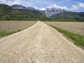 Field path leads through farmland, mountain range behind, near Woerschach, Ennstal, Styria,