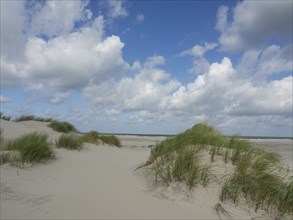 Sand dunes with tufts of grass under a blue sky with white clouds, sand dune with dune grass on a