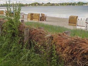 Beach chairs on a sandy beach, in the foreground grasses and wood, in the background calm sea,