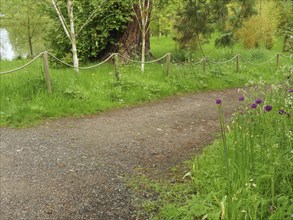 A path along a meadow with trees and flowers, surrounded by green nature, small, winding path