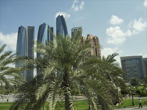 Modern skyscrapers, palm trees and a park area under a sunny sky in an urban environment, modern