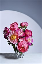 Bouquet of bright pink peonies on white background