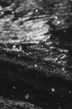 Artistic detail shot of water with water droplets in the foreground. Taken in black and white at a