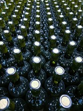 Many Wine Bottles in a Row in Italy