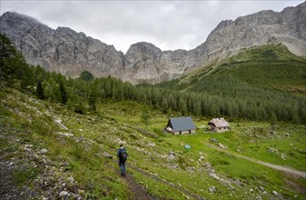 Mountaineer on a hiking trail near a mountain pasture, Obere Wolayer Alpe, Karnischer Hoehenweg,