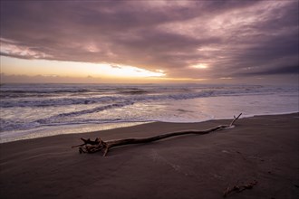 Dramatic cloudy sky at sunset, tree trunk on the beach, sandy beach on the Caribbean coast,