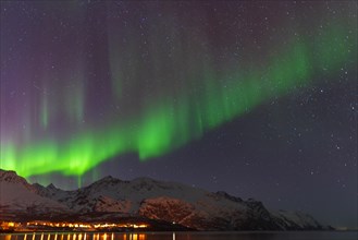 Northern Lights in the Lyngenfjord, Norway, Europe