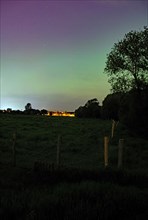 Northern lights (aurora borealis) over a meadow, Braunschweig, Lower Saxony, Germany, Europe