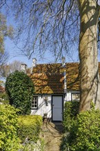 Small house with an entrance surrounded by trees and hedges, accessible via a brick staircase,