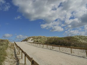 A sandy path leads through sunny dunes under a partly cloudy blue sky, dunes by the sea with clouds