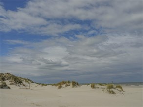 Extensive dune landscape with sand and grass under a slightly cloudy blue sky, dune with dune grass
