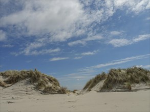 Narrow sandy path between sand dunes with reeds under a sunny sky, dunes by the sea with clouds in