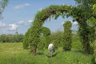 Woman goes for a walk, Topiary Garden, Symphonic Willow Walk, Boizenburg, Mecklenburg-Vorpommern,