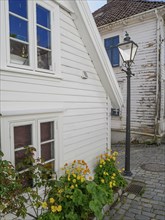 Historic white houses with windows, flowers and a lantern along a weathered cobblestone street,